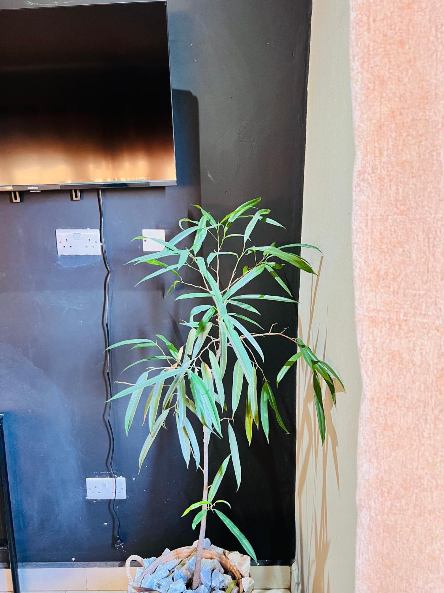The Shed Venue & Boutique Hotel 利隆圭 外观 照片